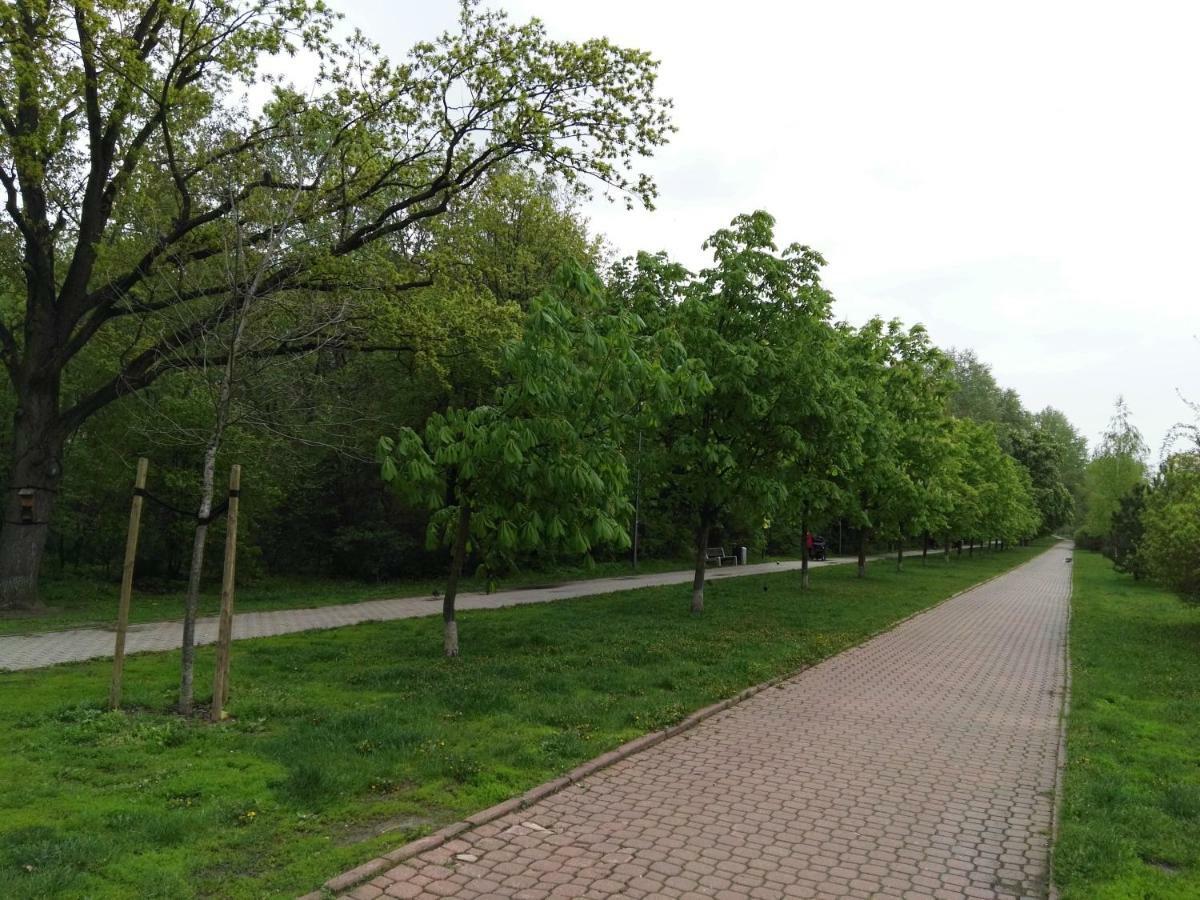 Green Kabaty Apartment 3 Warszawa Rum bild